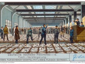 Liebigbild